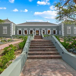 New! Kranshi Willemstad